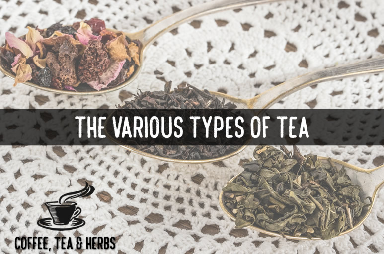 The Various Types of Tea