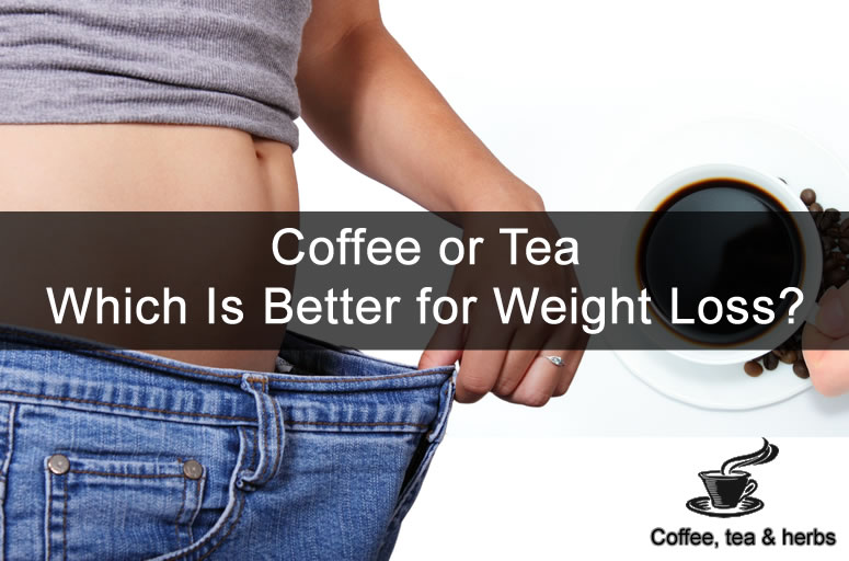 Coffee or Tea - Which Is Better for Weight Loss